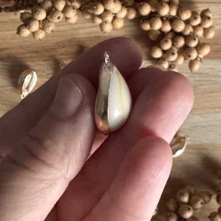 1 x Muschel Anhänger Kauri mit Öse | in Sand-Gold | Für Schmuck & DIY‘s