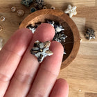 1 x Seesternperle aus Keramik | in Braun Blau | Für Mikromakramee, Schmuck & DIY‘s