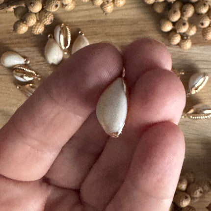 1 x Muschel Anhänger Kauri mit Öse | in Beige-Gold | Für Schmuck & DIY‘s