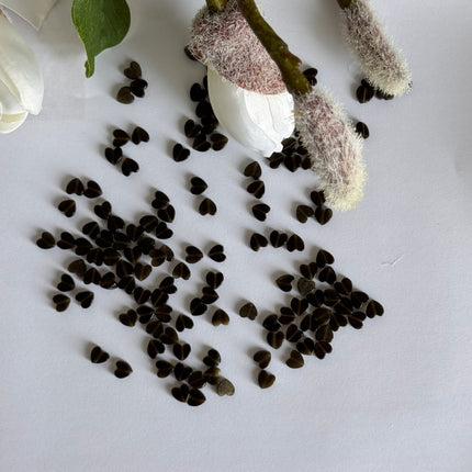 5 x  Herz Obsidian braun - ein wunderschönes Highlight für deine Schmuckkreationen | 6 mm (Bohrung 0,7 mm)