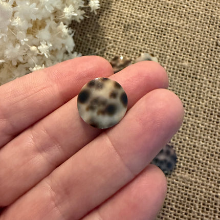 1 x Muschel Perlen 15mm Braun beige für Mikromakramee Schmuck