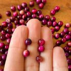 10 x Perlen aus Tigerauge | in Pink | 6 mm | Für Mikromakramee, Schmuck & DIY‘s