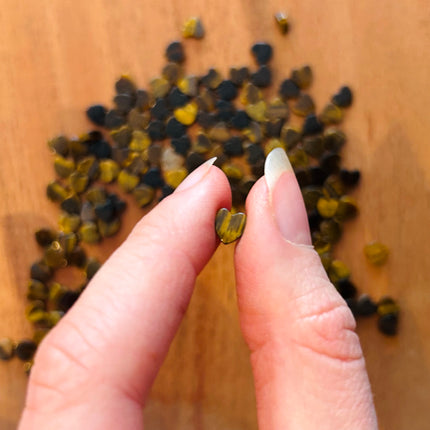 5 x Herzen (Tigerauge) aus Quarz-Edelstein | in Braun | Für Mikromakramee, Schmuck & DIY´s