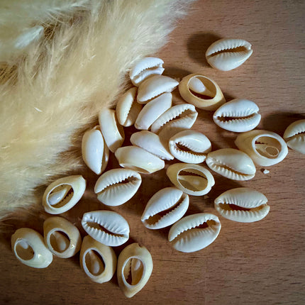 10 x Kauri Muschelperlen naturweiß | Muschel für Makramee & Schmuck