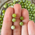 10 x Natursteinperle aus südlicher Jade | in Olivgrün | 6 mm | Für Mikromakramee, Schmuck & DIY‘s
