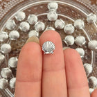 1 x Venusmuschel Perle | in Silber | 8 x 8 mm | Für Makramee, Schmuck & DIY‘s