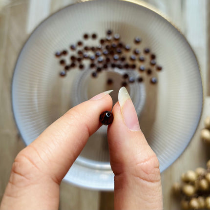 5 x Facettierte Glasperlen | in Smoked Amber | 6 mm |Für Mikromakramee, Schmuck & DIY‘s