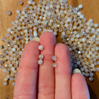 10 x Facettierte Glasperlen | in Amber| 4 mm | Für Mikromakramee, Schmuck & DIY‘s