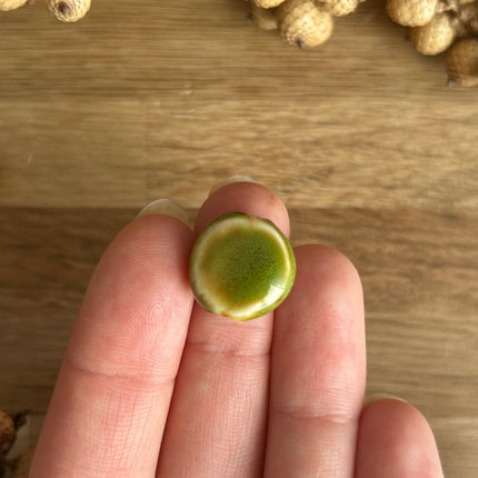 3 x flache, runde Perlen aus Keramik | in Grün | Für Mikro-Makramee, Schmuck & DIY‘s