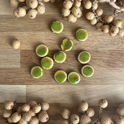 3 x flache, runde Perlen aus Keramik | in Grün | Für Mikro-Makramee, Schmuck & DIY‘s