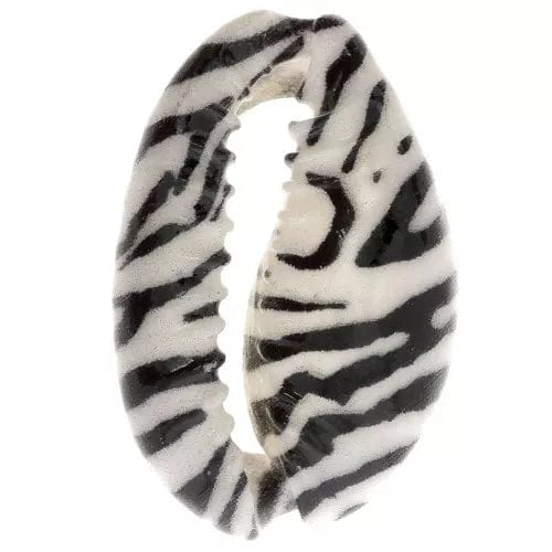 brightstars 2 x White Tiger Muschel Perlen Specials Kauri Black- - Armbänder