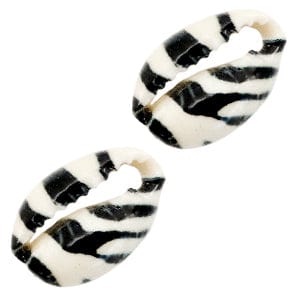 brightstars 5 x Muschel Perlen Specials Kauri Black-white Tiger - Armbänder